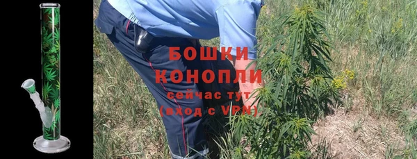 трава Арсеньев